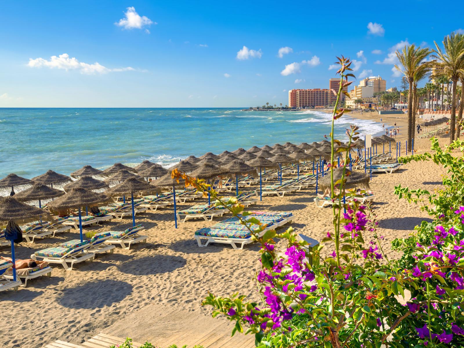 Costa del Sol area guide