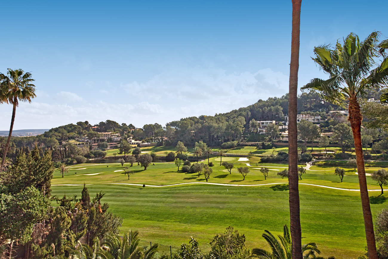 6037ffd12a5c4929992fffa0