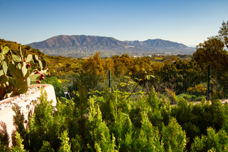 La Mairena
