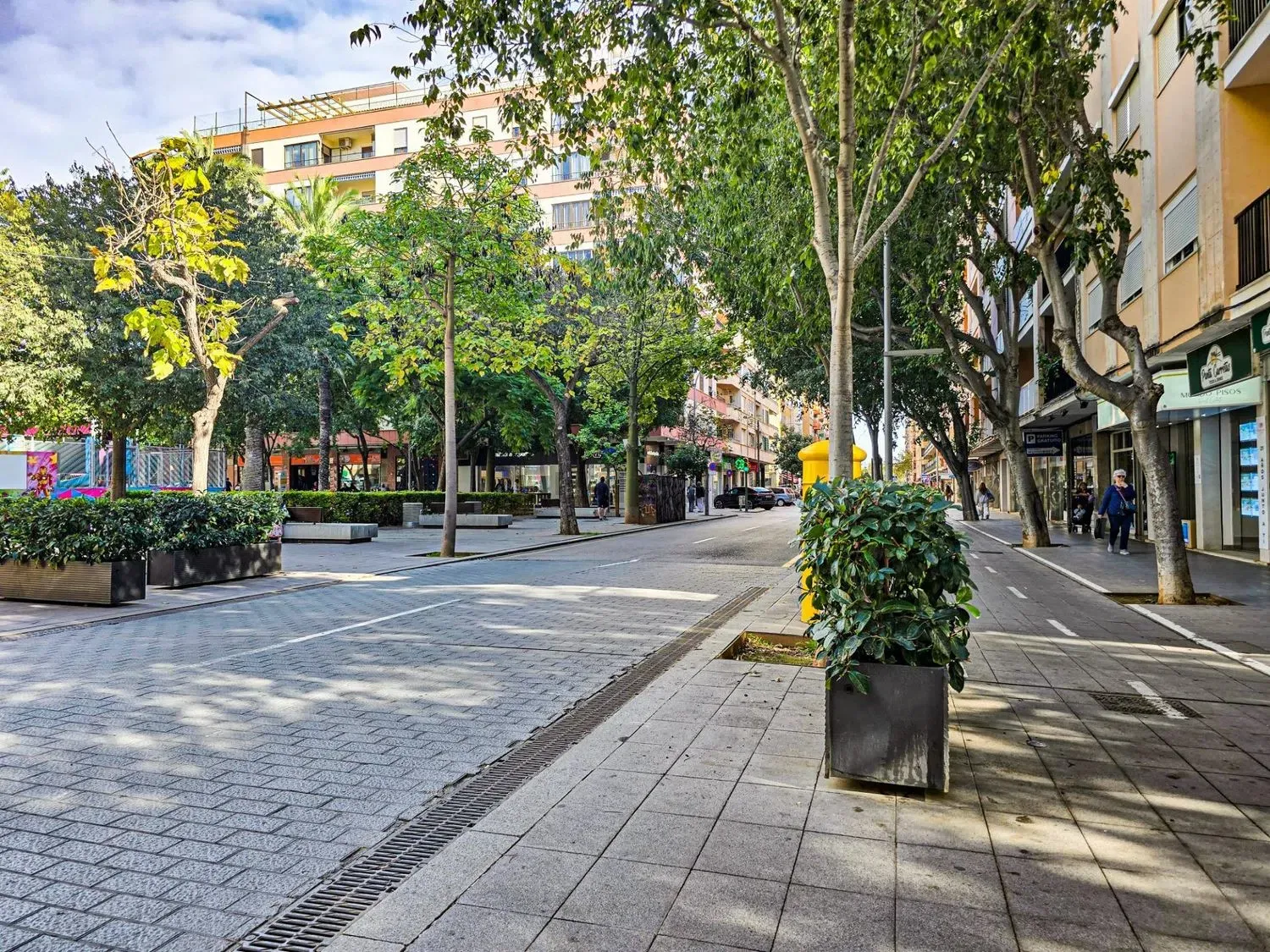 Palma