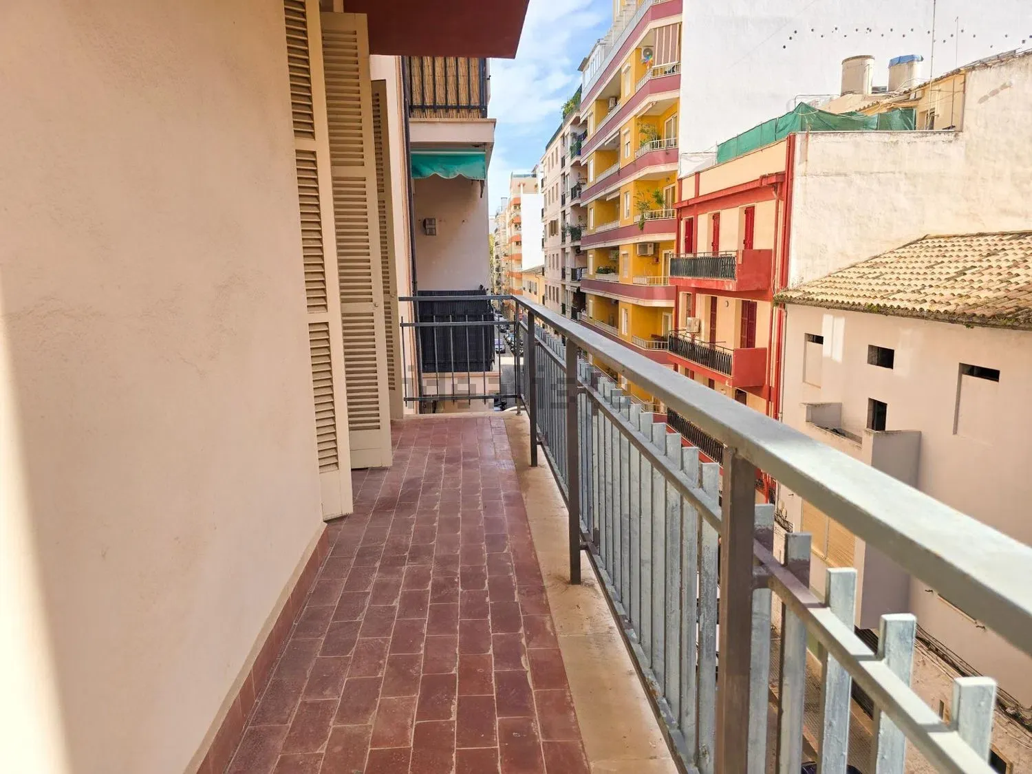 Palma