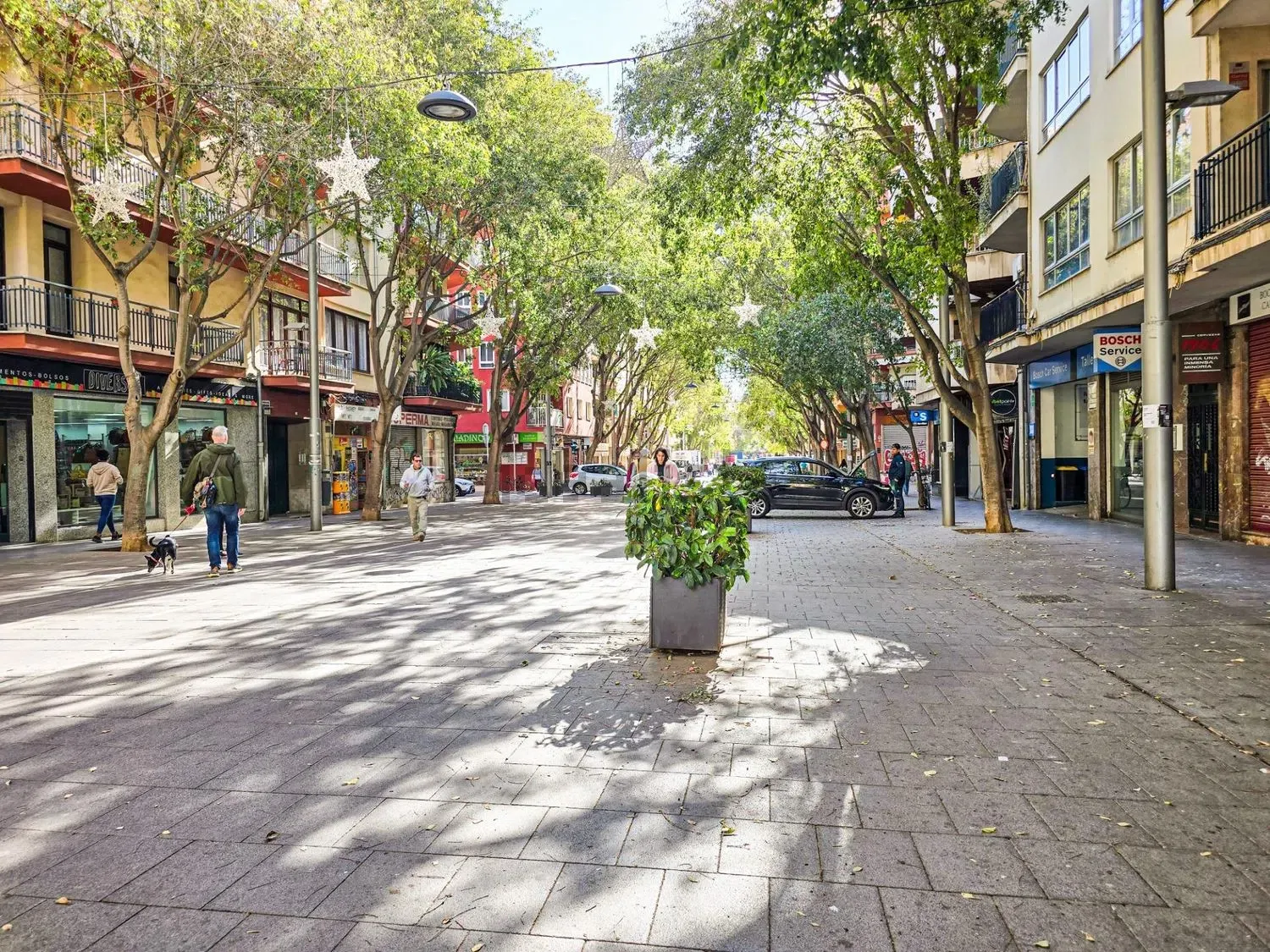 Palma