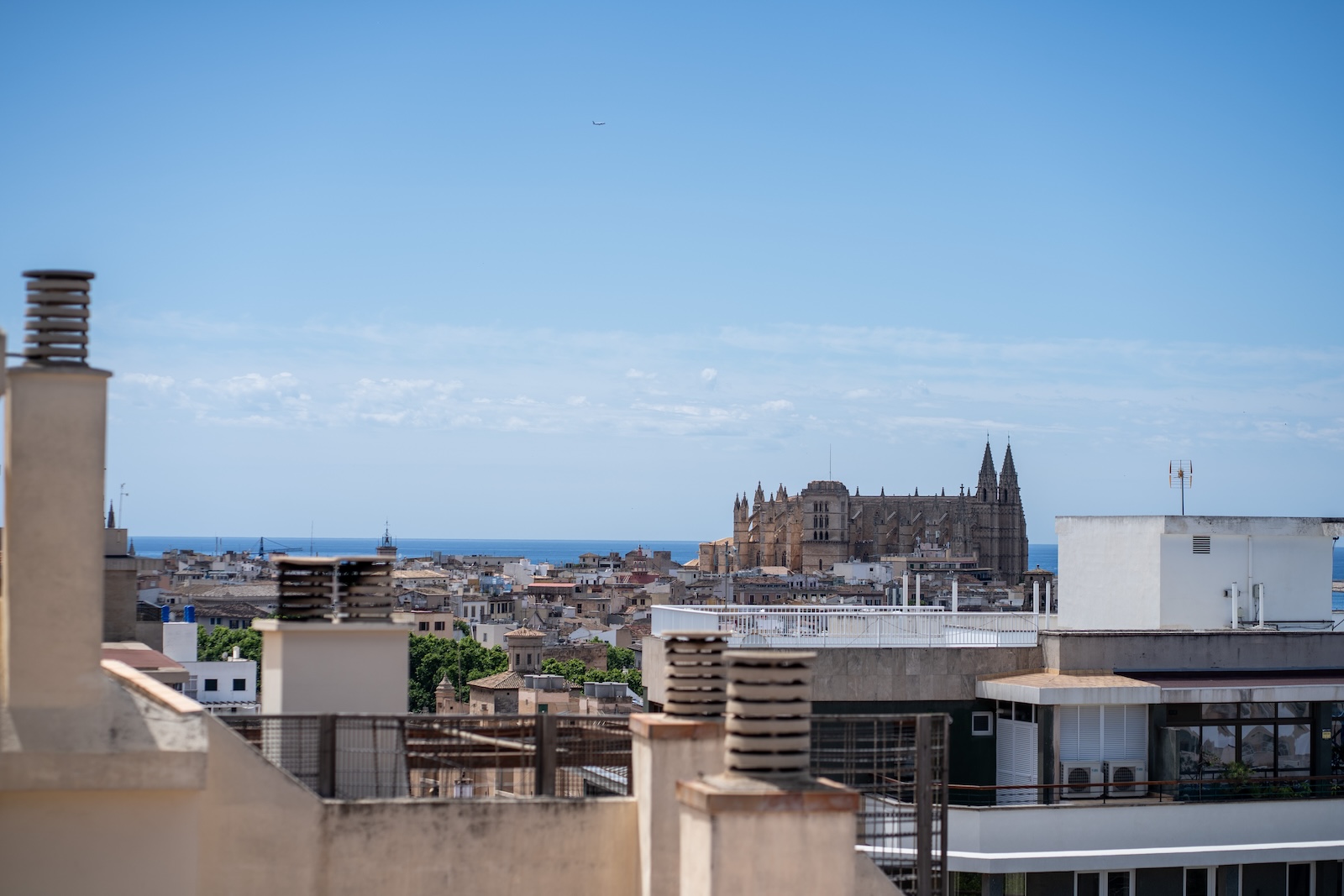 Palma