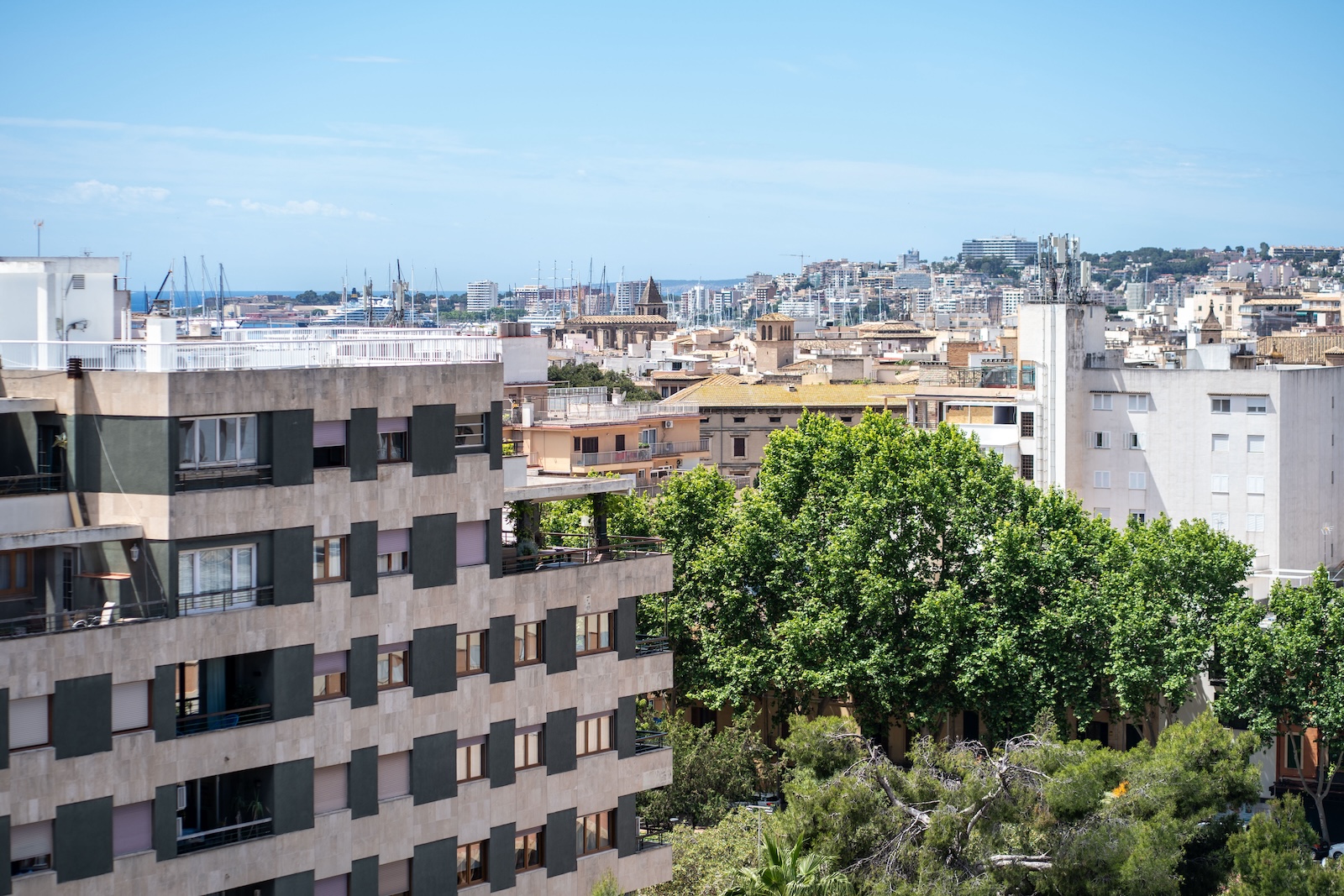 Palma