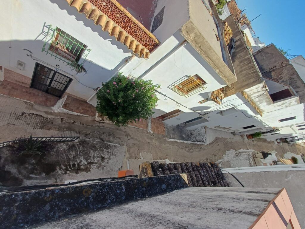 oliva