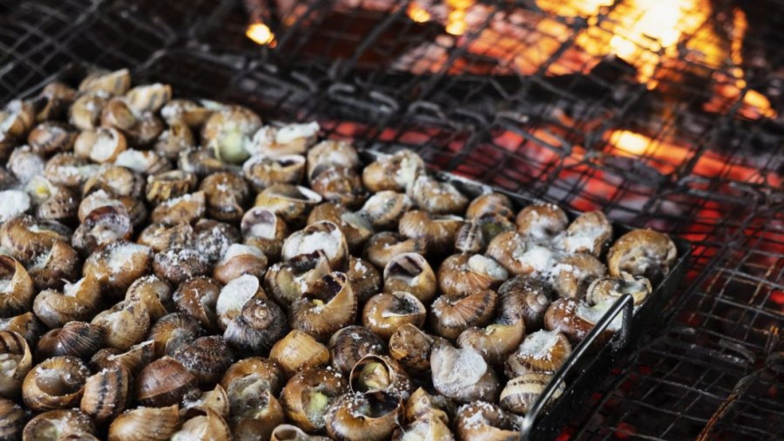 AdobeStock 233033599 1600x1067 1 900x600