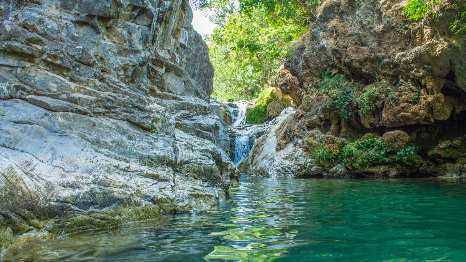 shutterstock 1197780436 - Coin