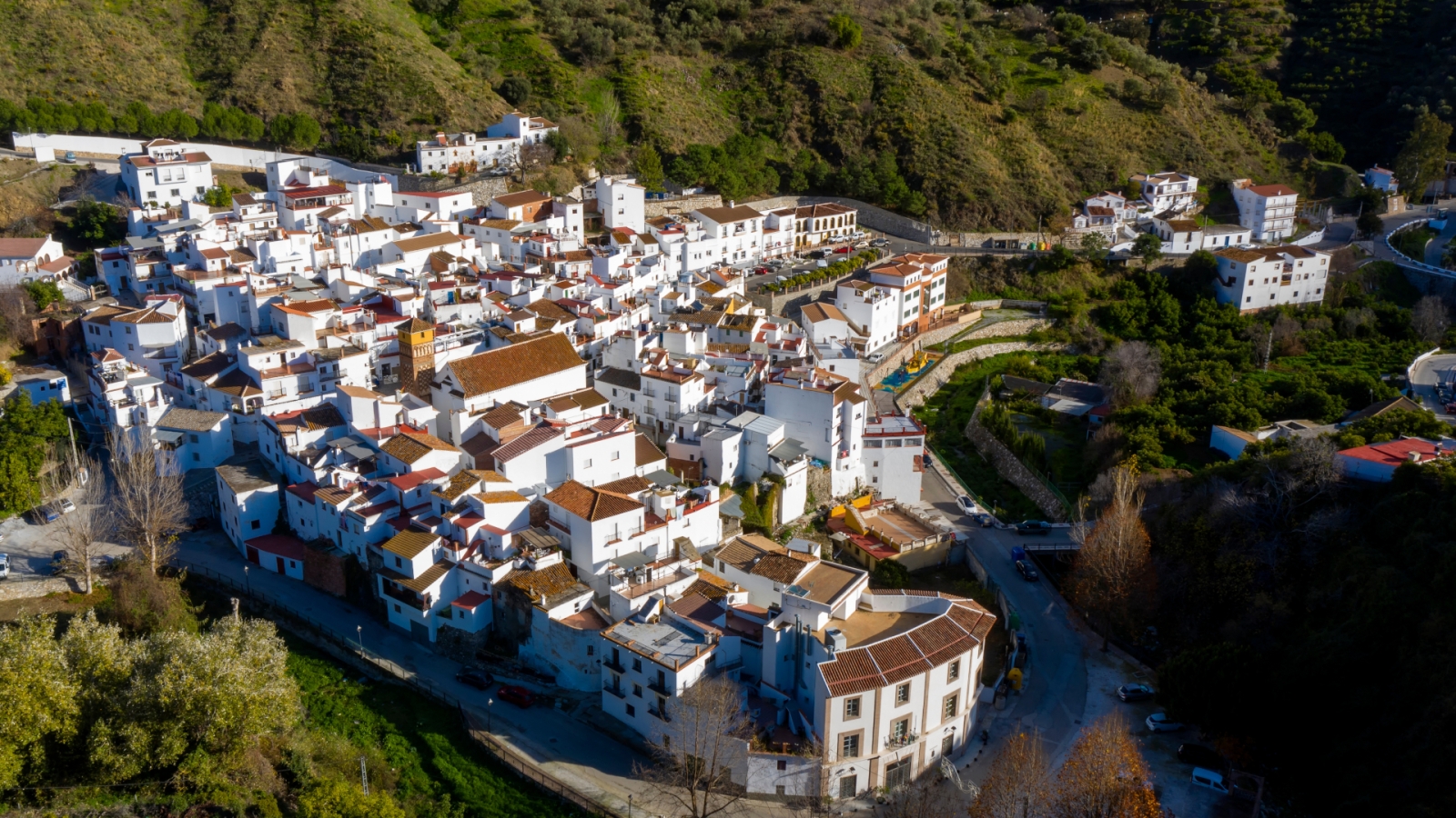 shutterstock 2098927753 - Árchez