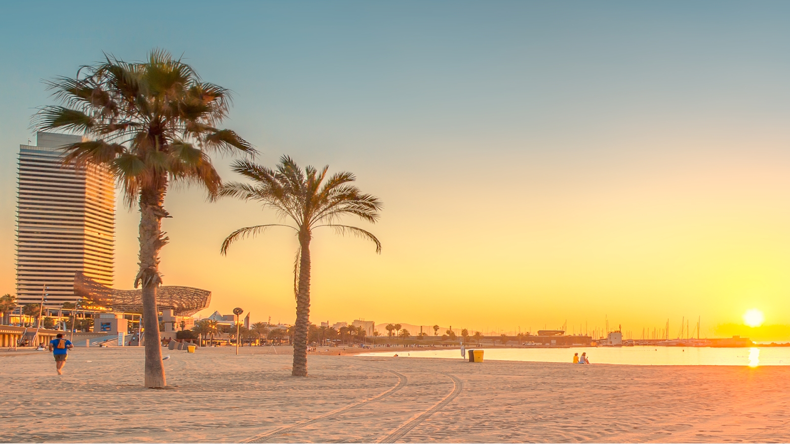 shutterstock 211022809 - Playa Barceloneta