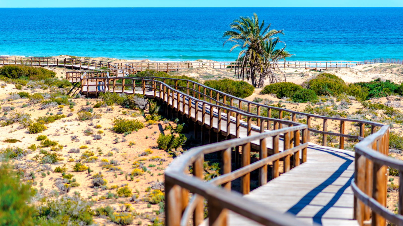 shutterstock 385481548 - Los Arenales del Sol 