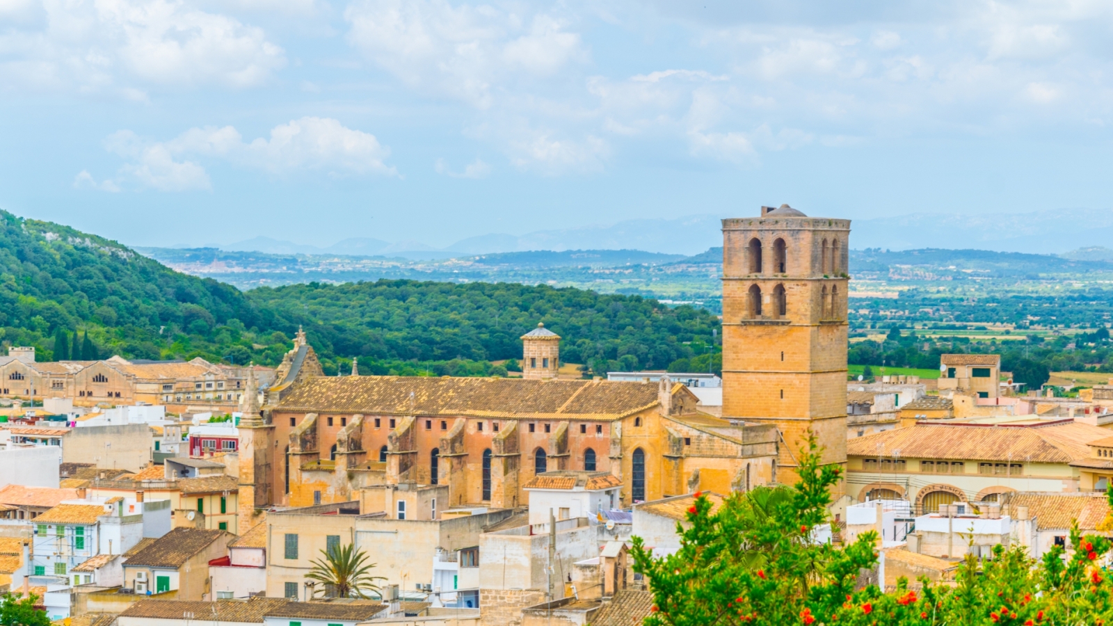 shutterstock 1132322246 - Felanitx