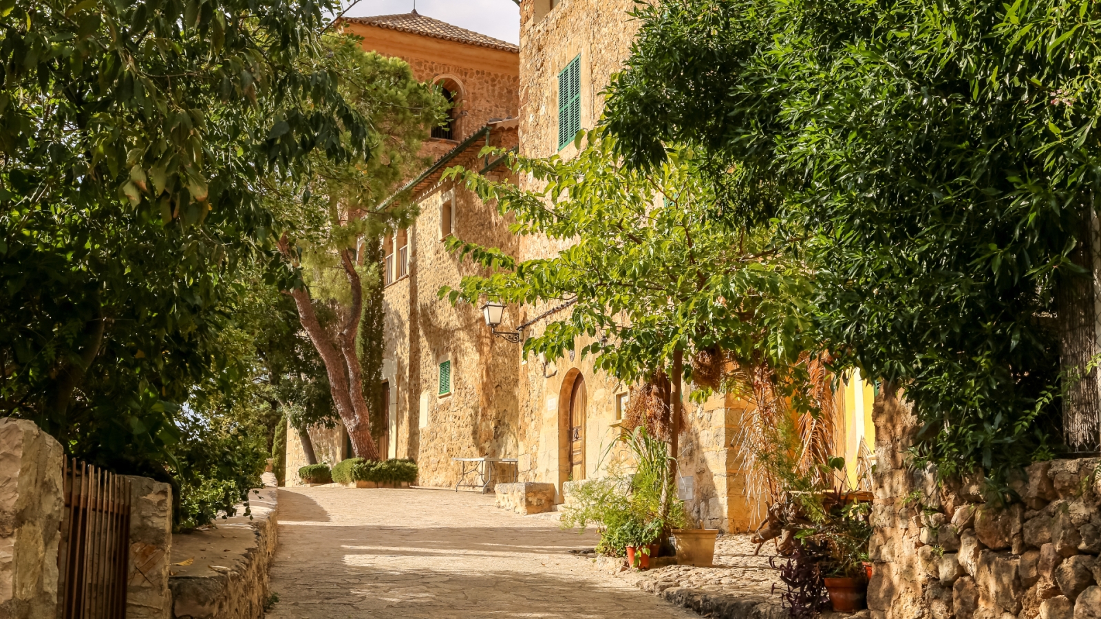 shutterstock 1204378003 - Palma de Mallorca