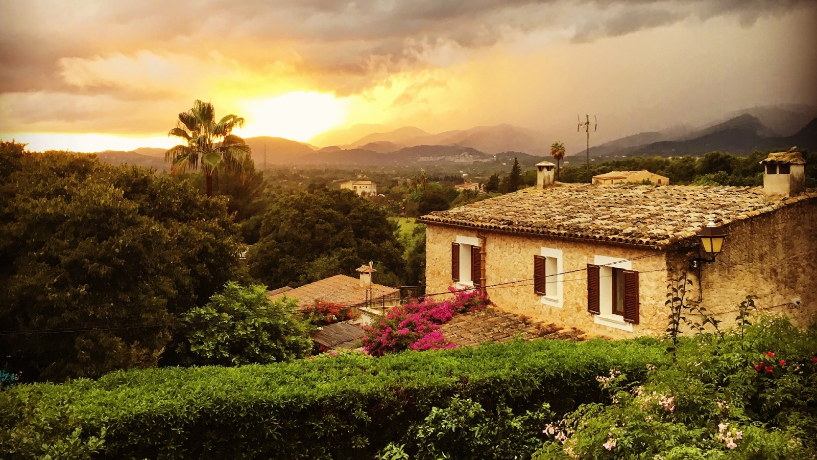 shutterstock 1243300312 - Búger