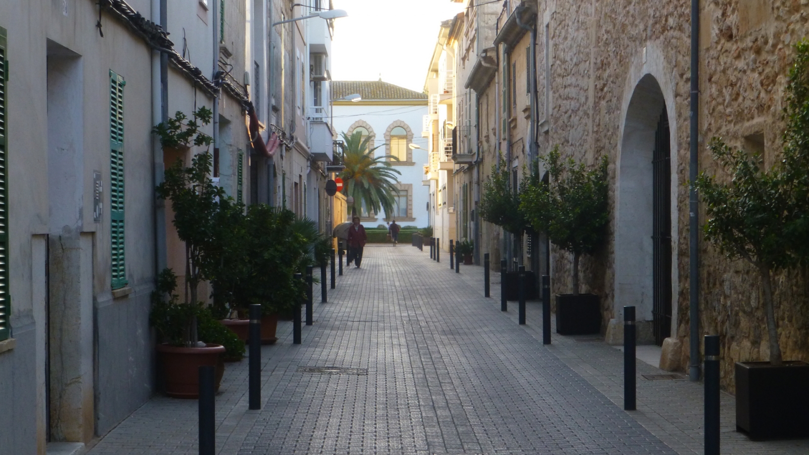 shutterstock 1255034374 - Sa Pobla, Mallorca