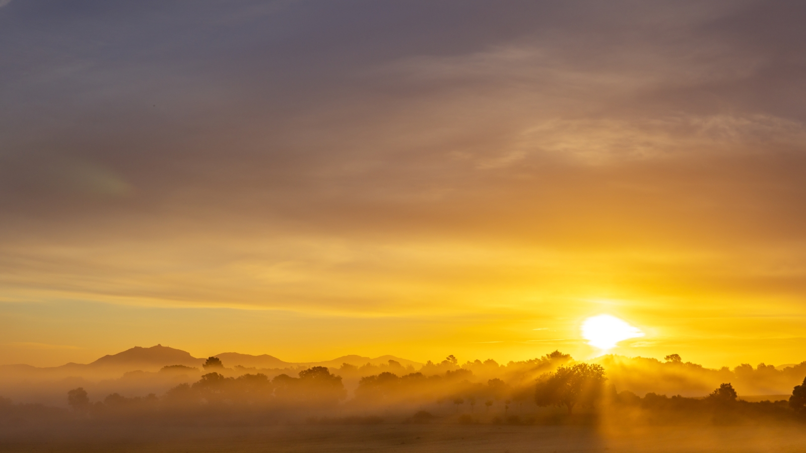 shutterstock 1873919308 - interior de la isla de Mallorca