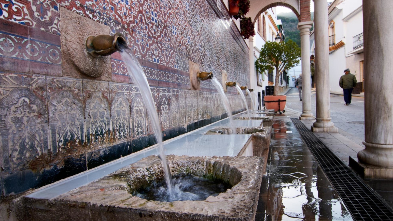 shutterstock 2067551948