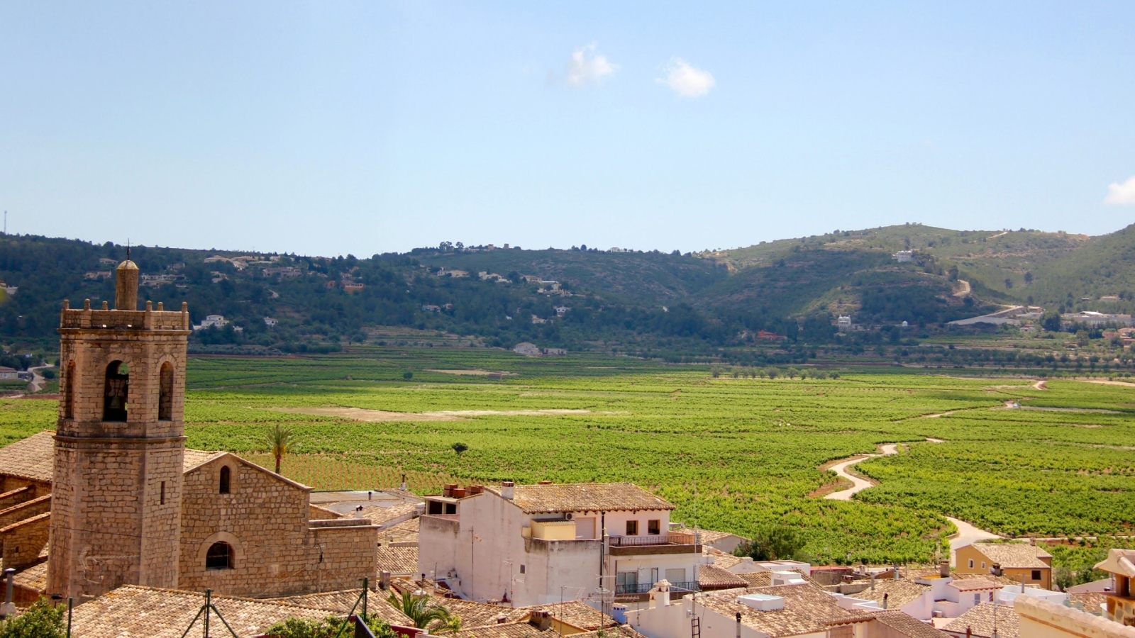 shutterstock 1176697459 - Lliber