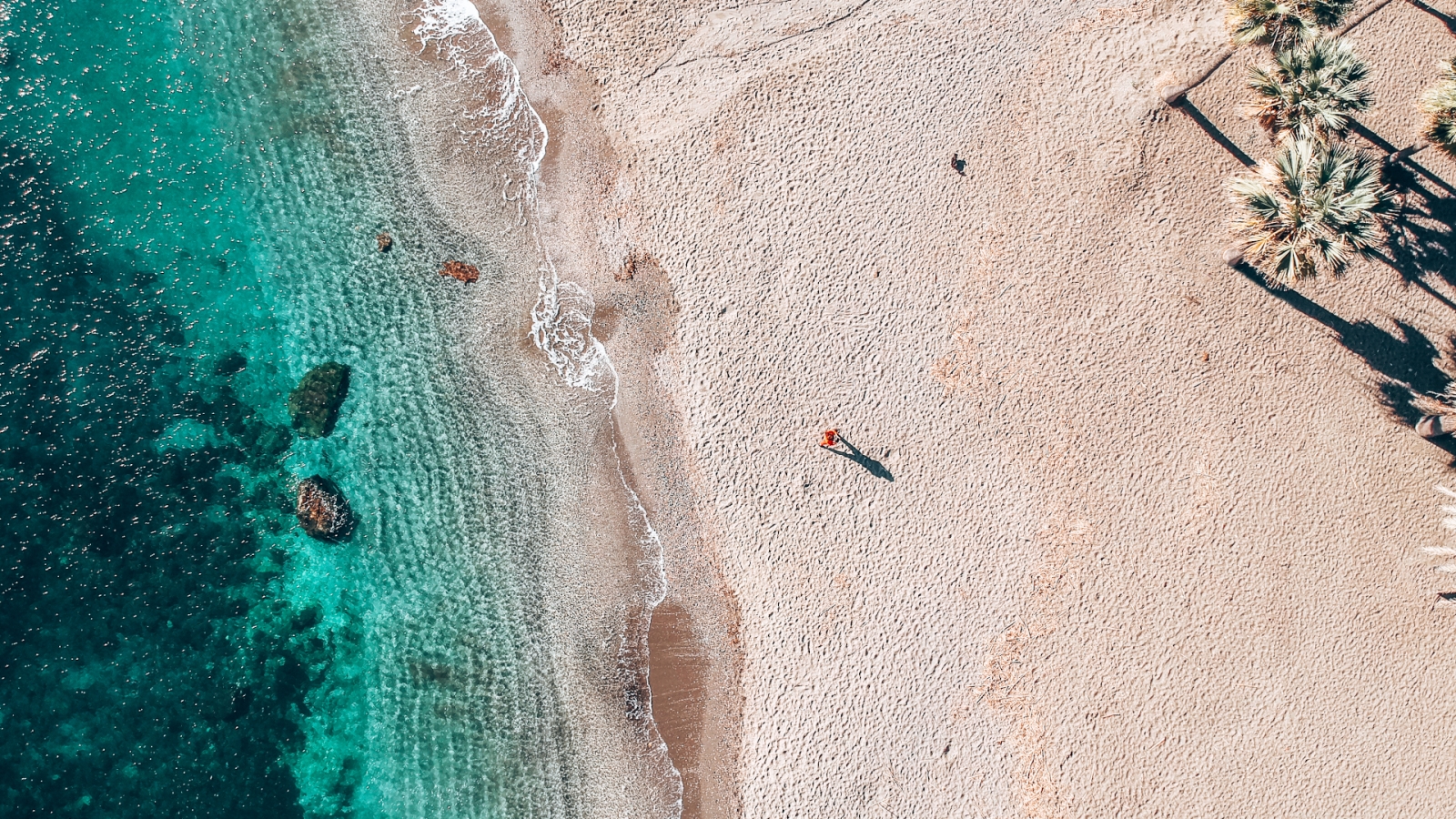 shutterstock 1297367488 - Casares Playa