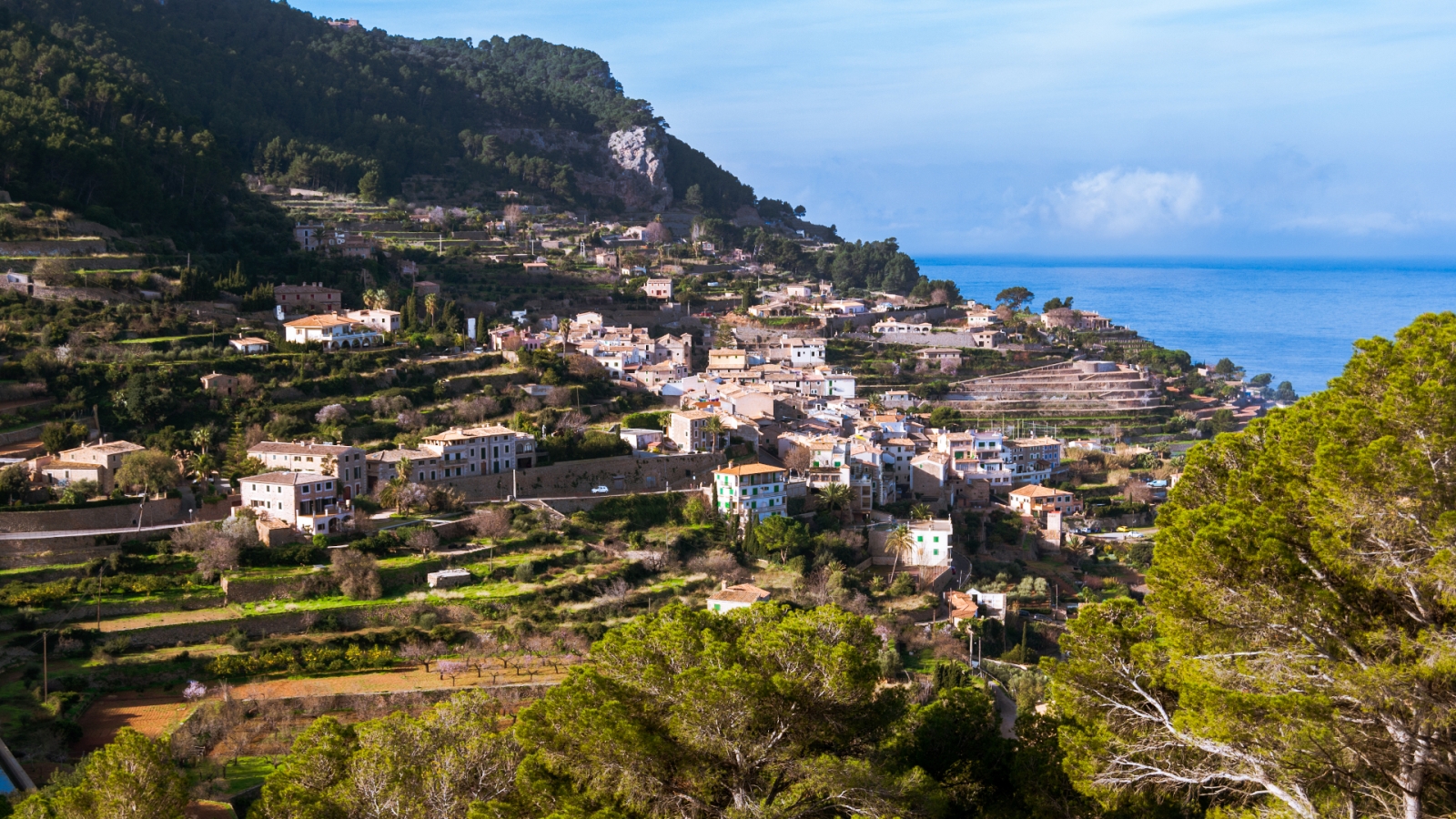 shutterstock 1314093221 - Estellencs