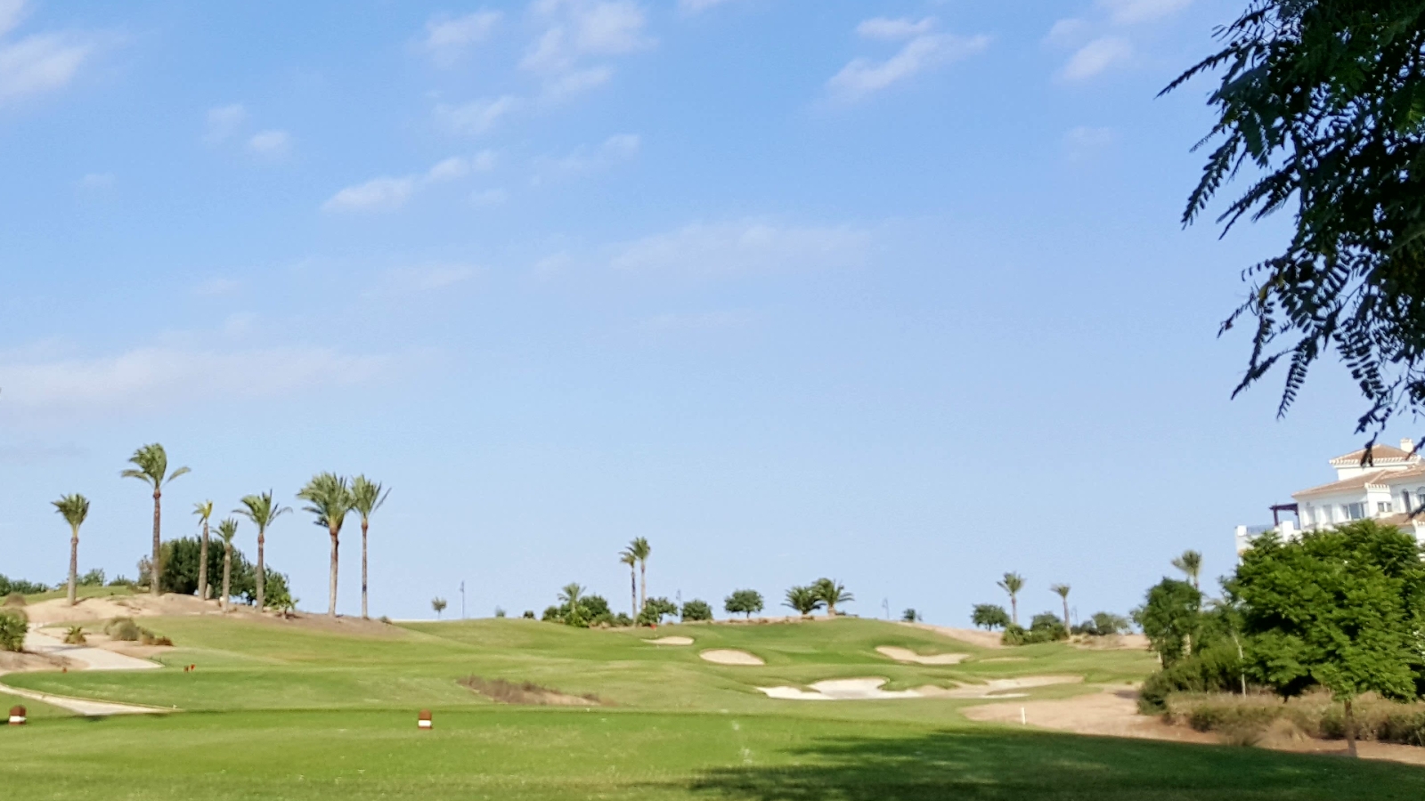 shutterstock 1394943494