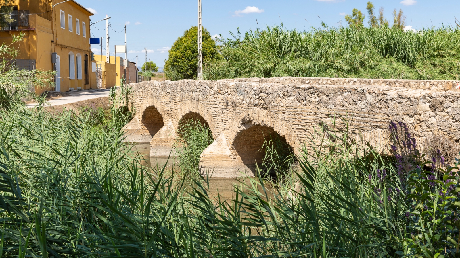 shutterstock 1429491581 - Carcaixent