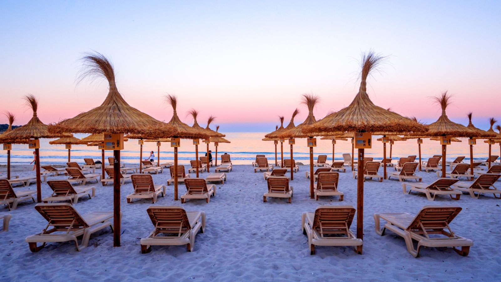 shutterstock 1443135530 - Sa Coma