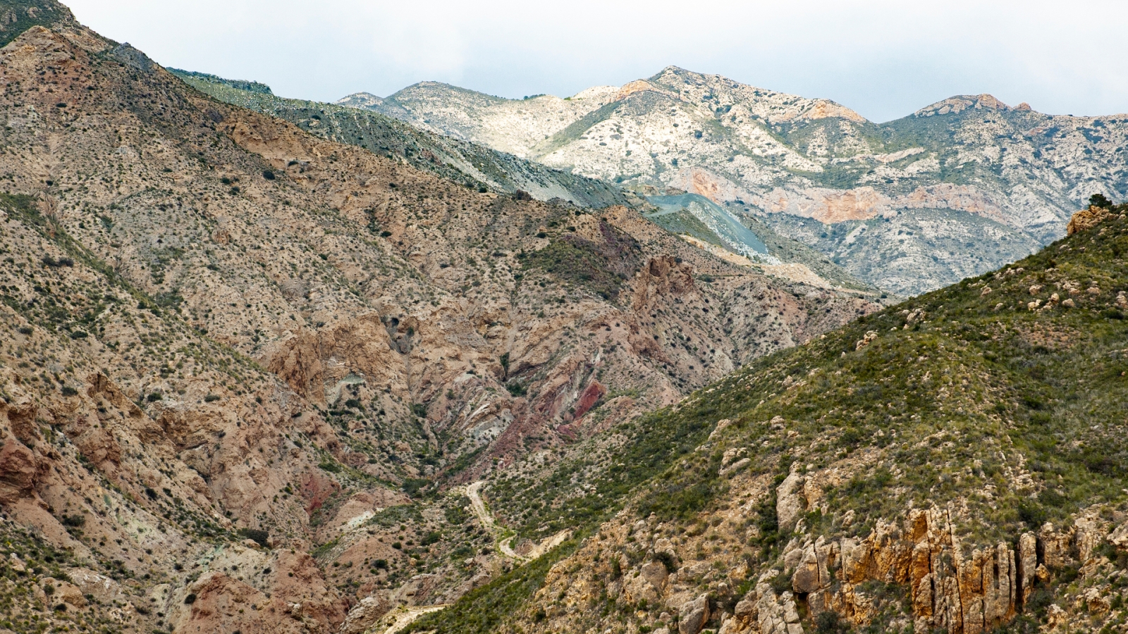 shutterstock 1450731860 - Albatera