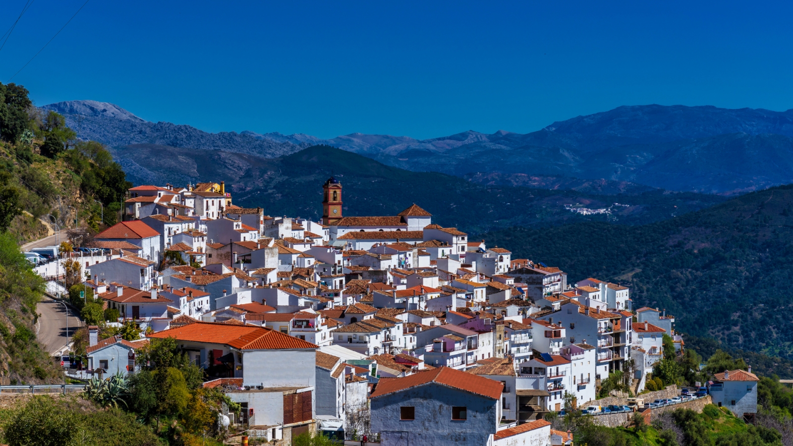 shutterstock 1474930937 - Algatocin