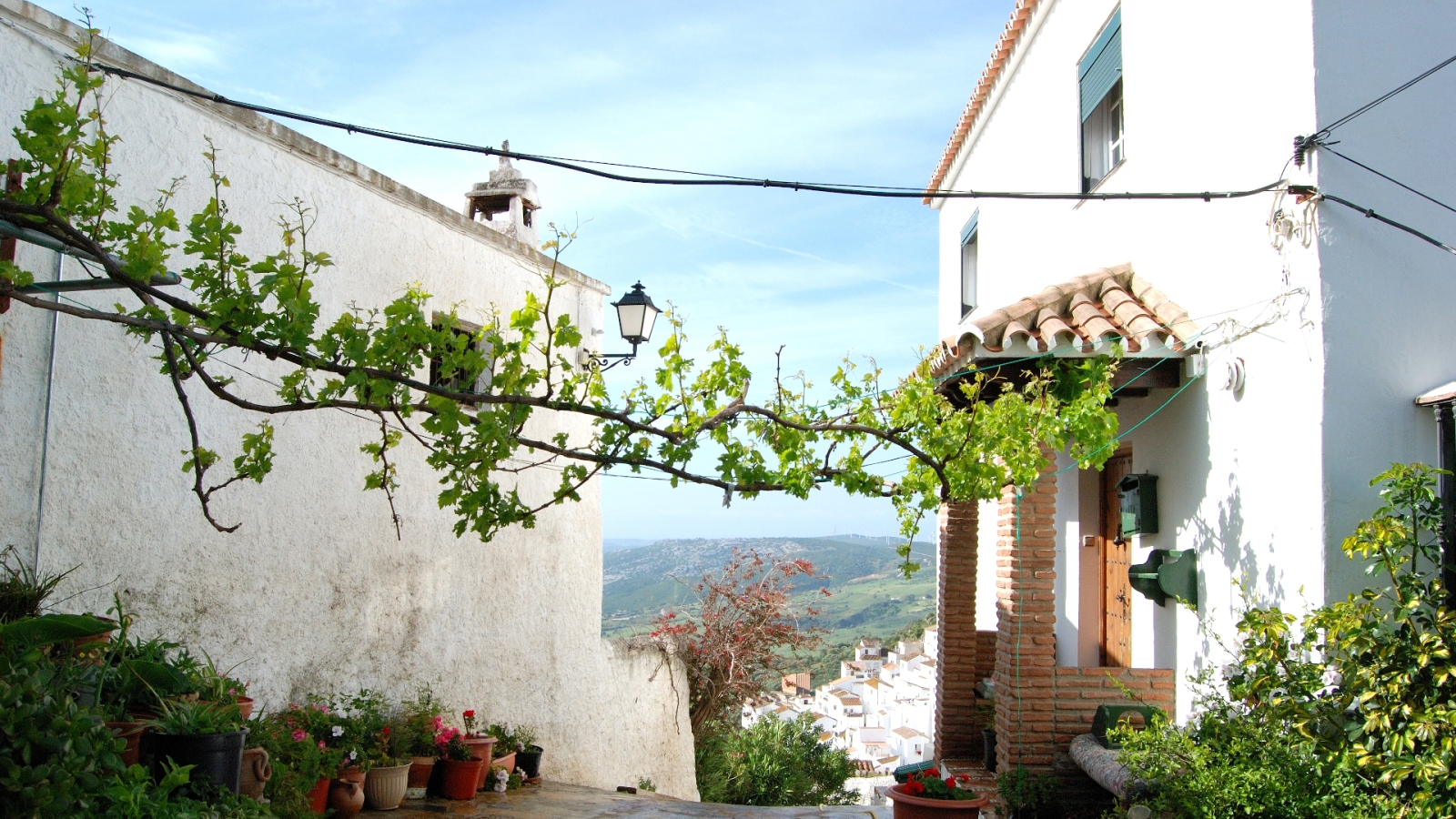 hutterstock 1548632660 - Casares