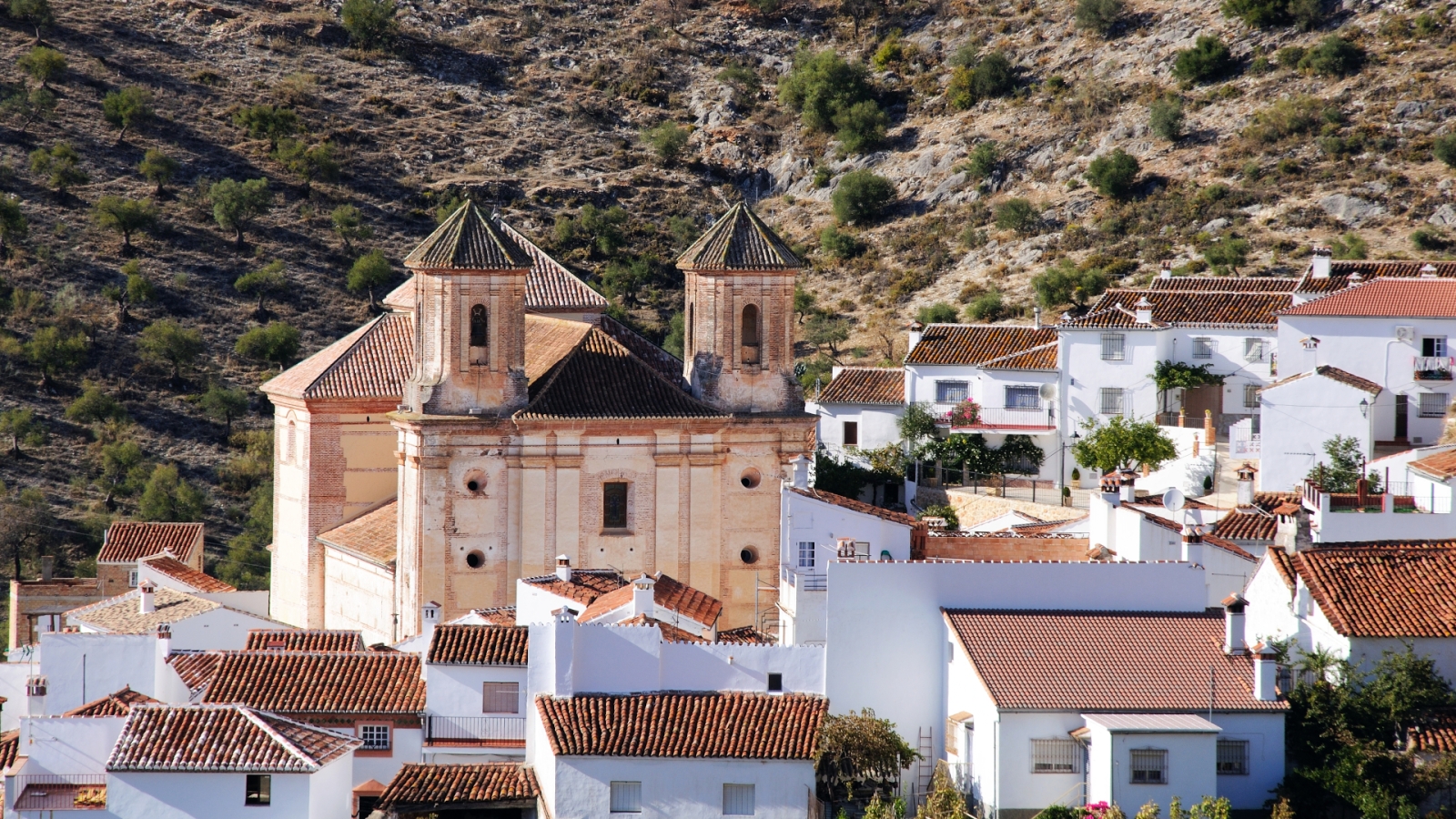 shutterstock 1715426848 - Alpandeire