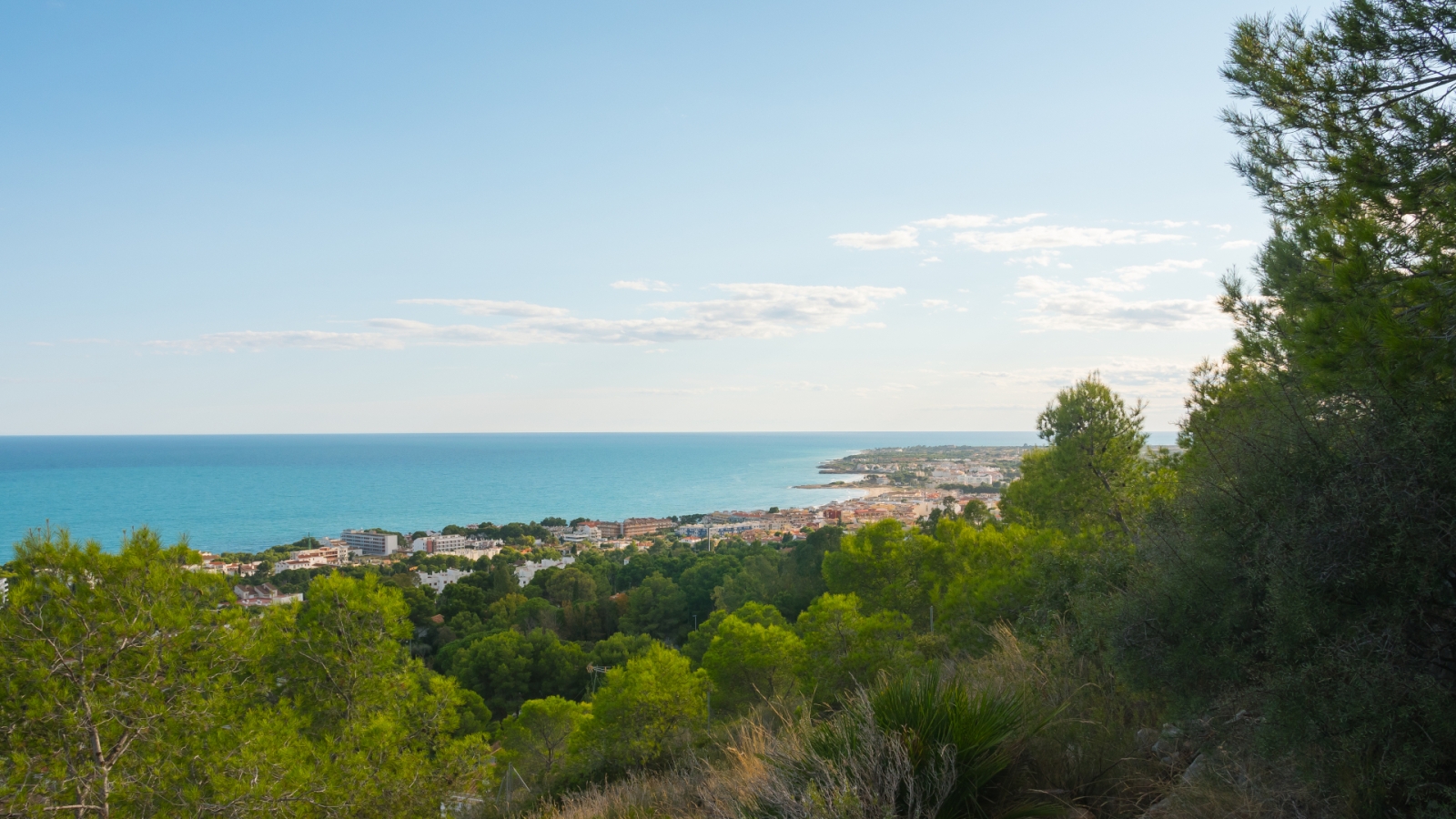 shutterstock 1841680900