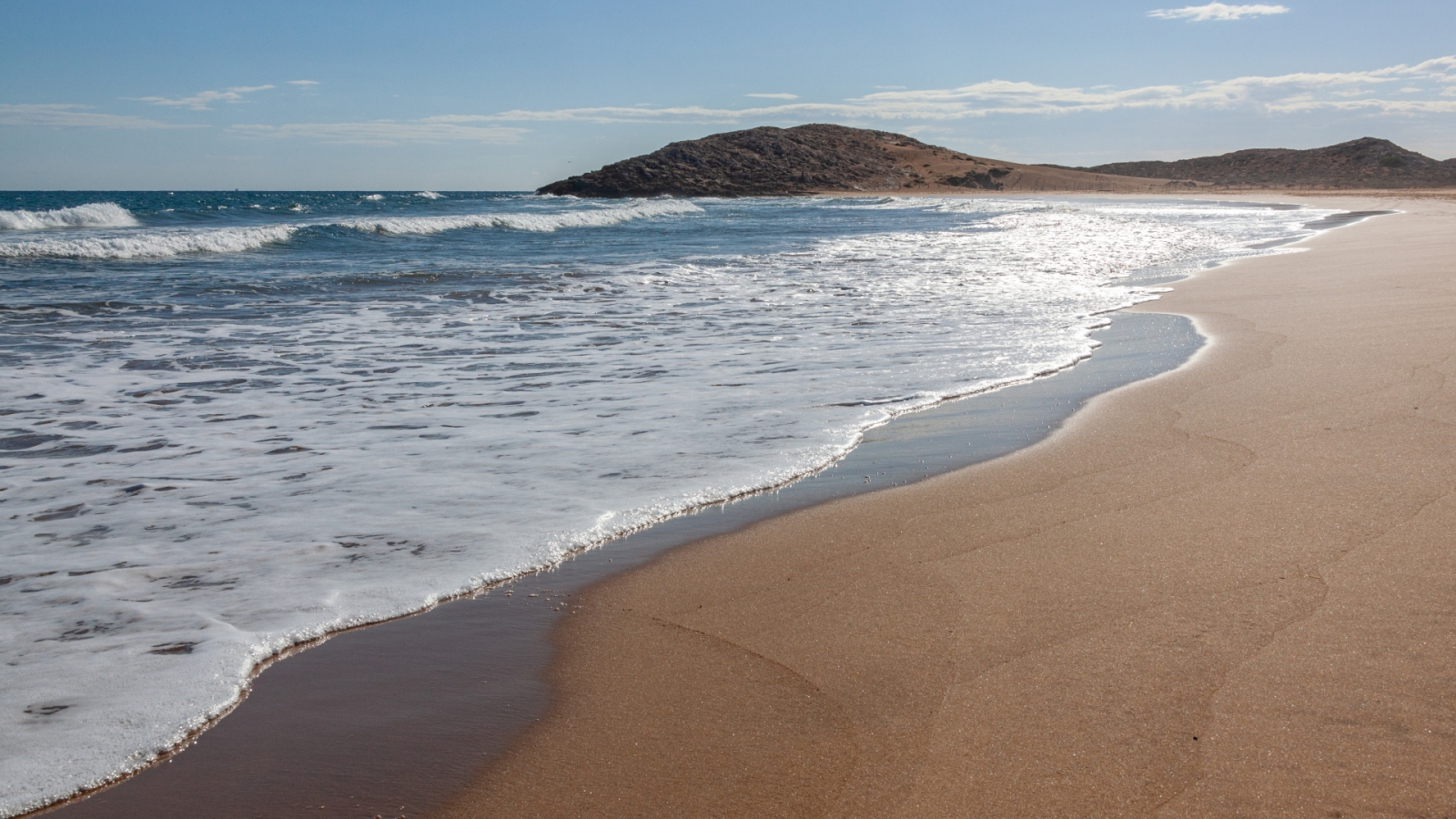 shutterstock 1945810105