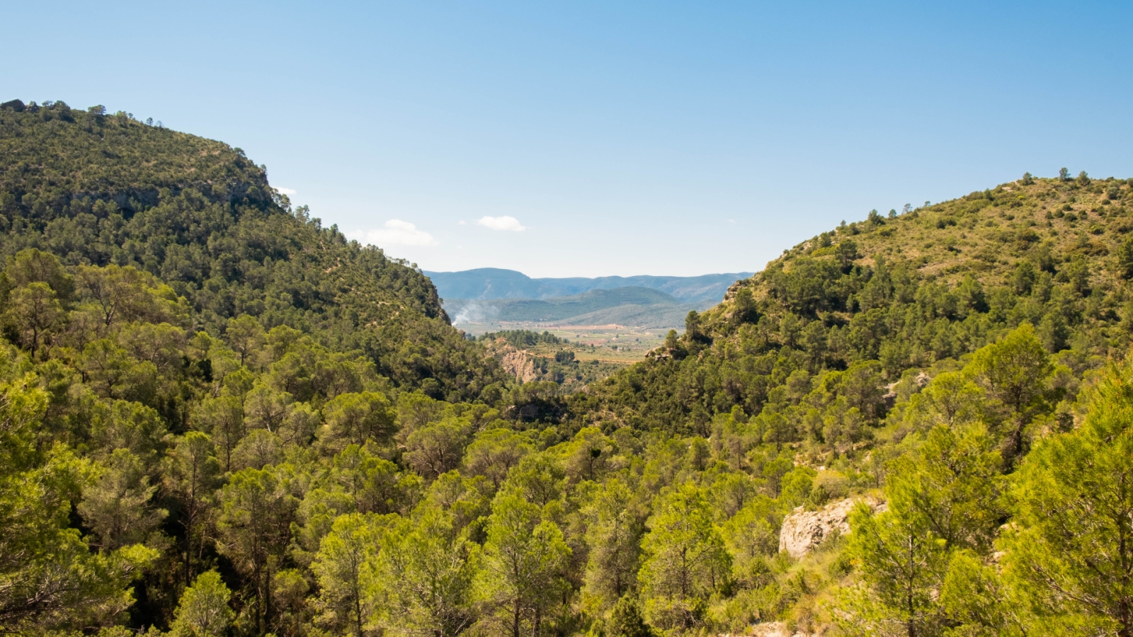 shutterstock 1964272936