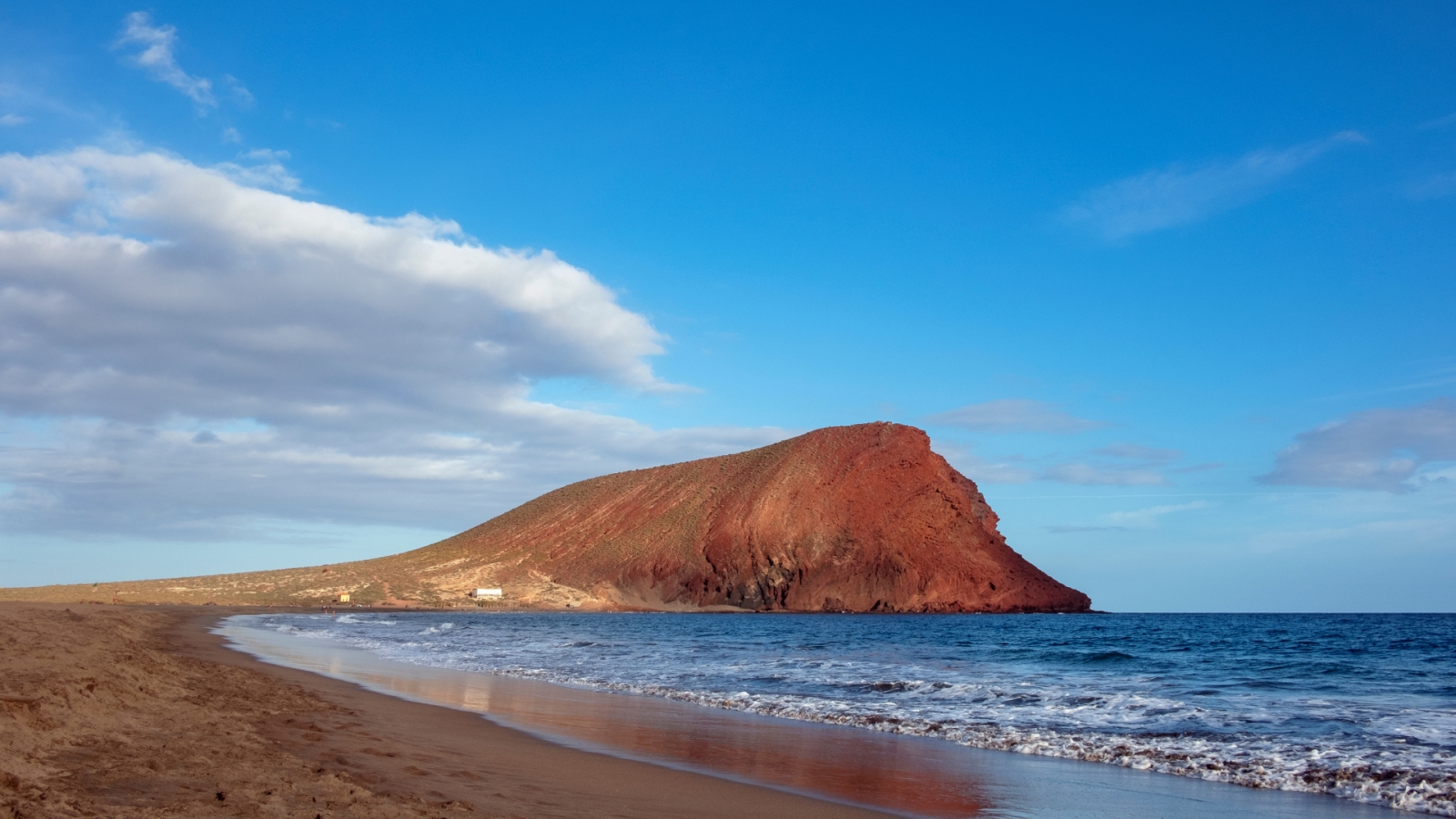 shutterstock 1980703583