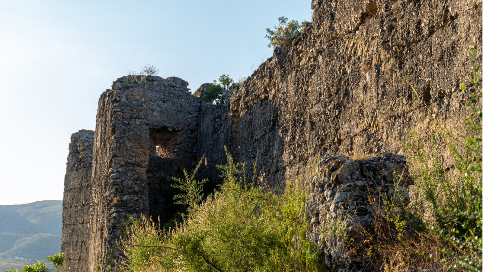 shutterstock 2007280931