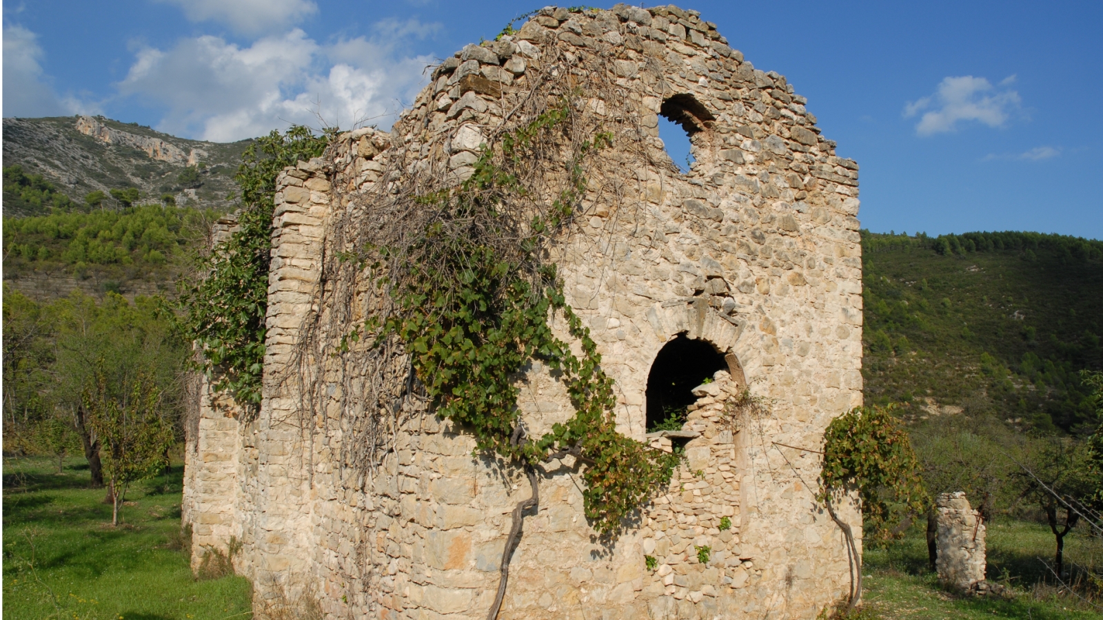 shutterstock 2093645455