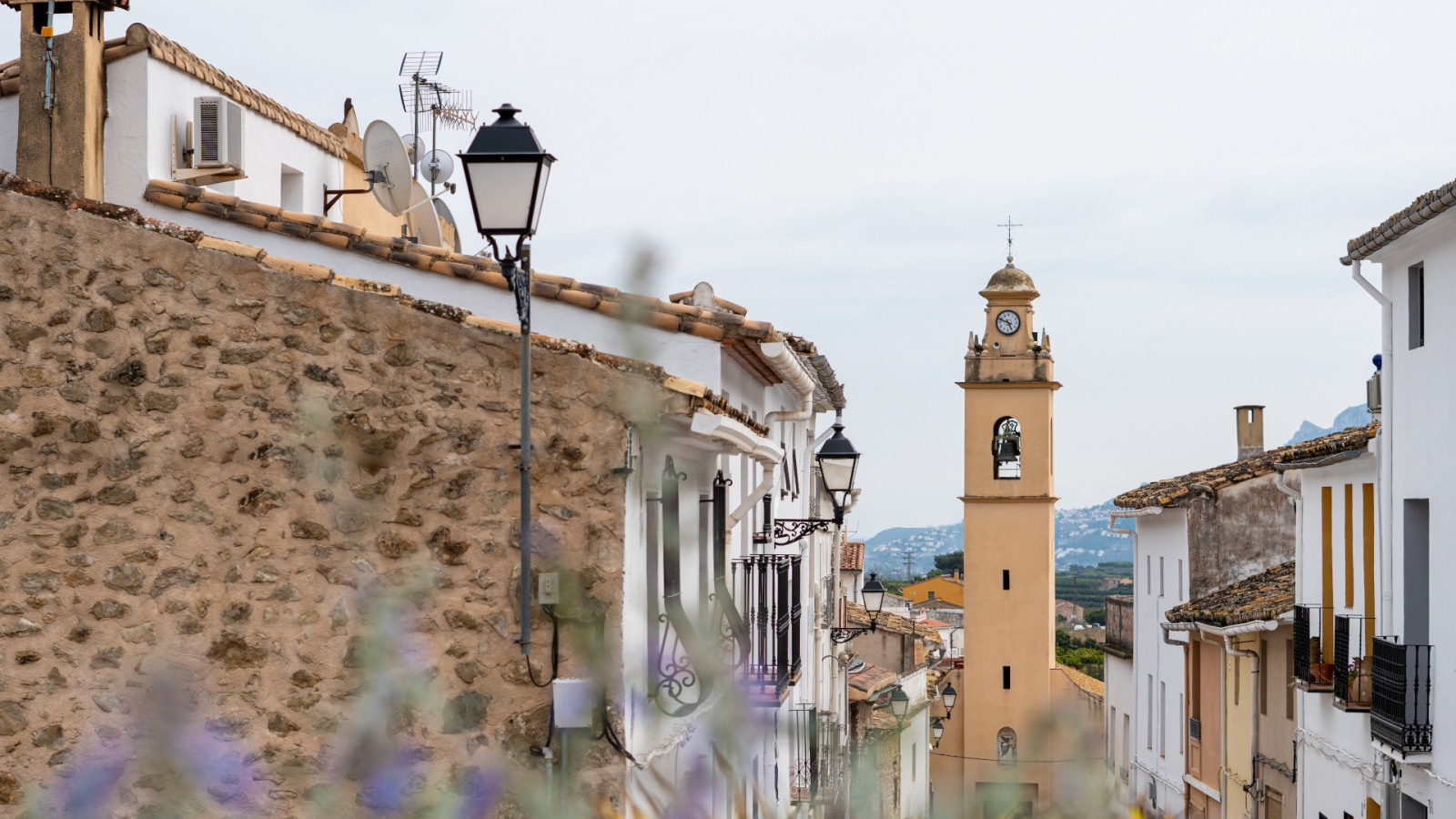 shutterstock 2132750159 - Adsubia