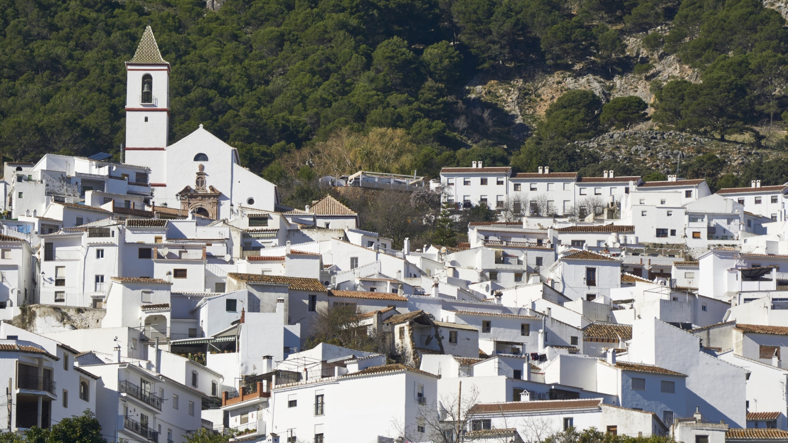 shutterstock 389056591 - Casarabonela