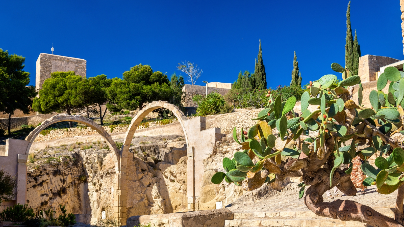 shutterstock 529989610 - Alicante