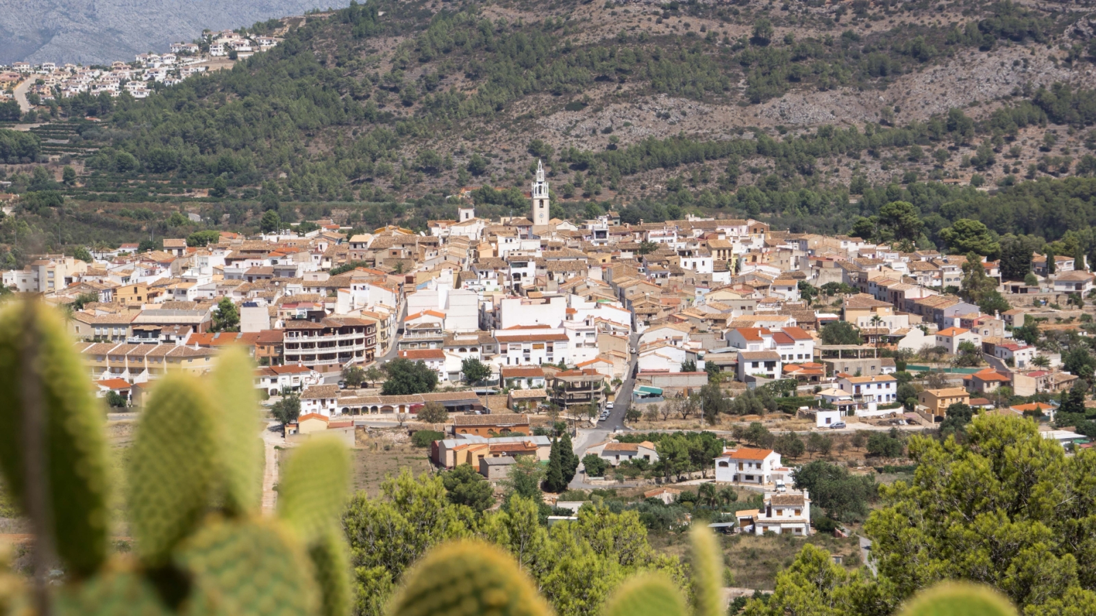 shutterstock 559924216 - Parcent