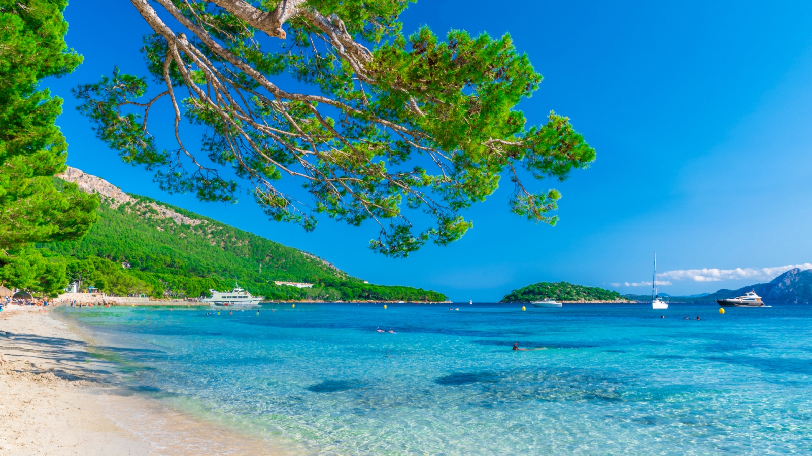 shutterstock 771066976 - Playa de Formentor, Cala Pi
