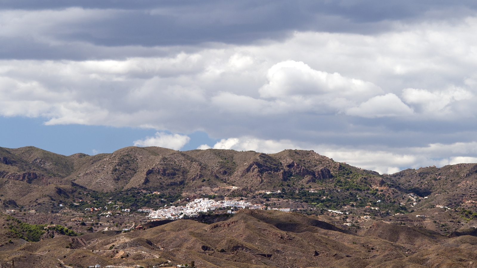 shutterstock 83968120 - Bedar