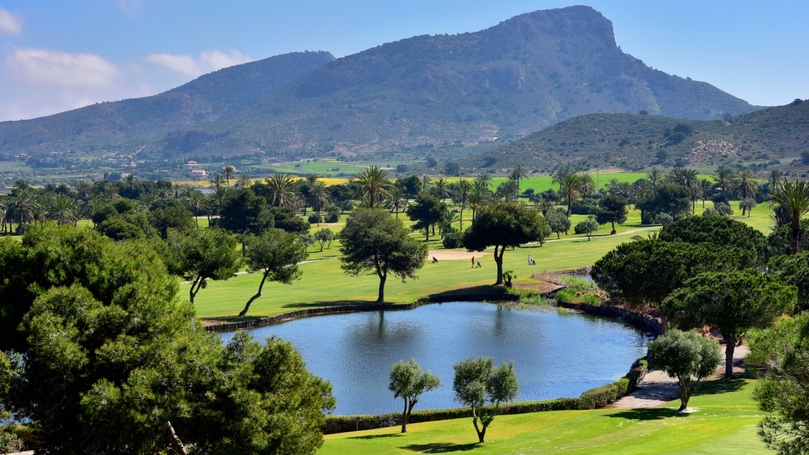 AdobeStock 437737662