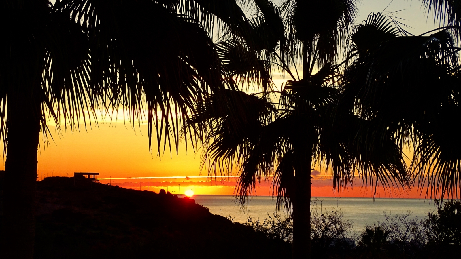 shutterstock 1016267932