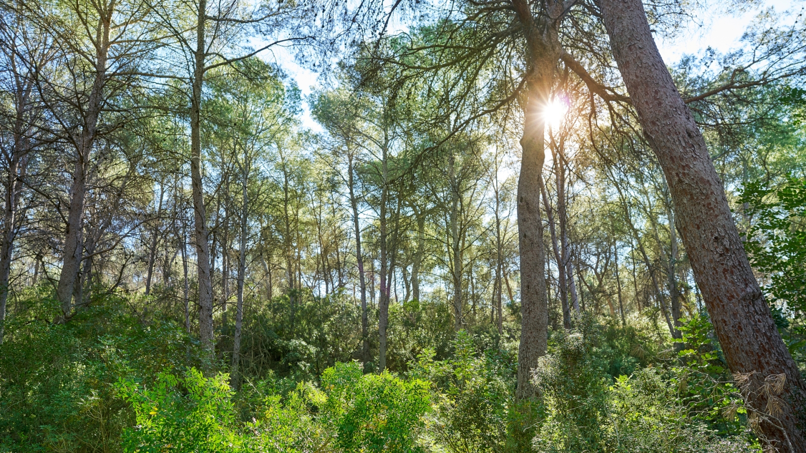 shutterstock 1098606680