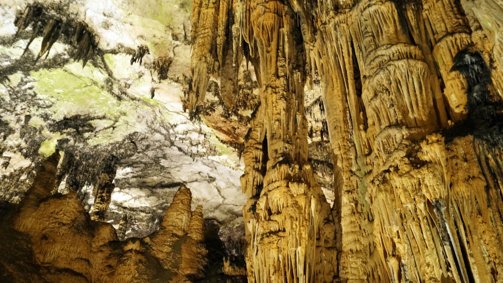 shutterstock 1134619898 - Artà