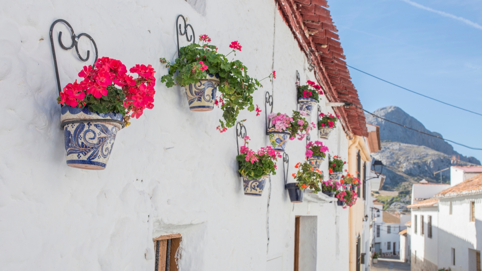 shutterstock 1250234752 - Alfarnatejo