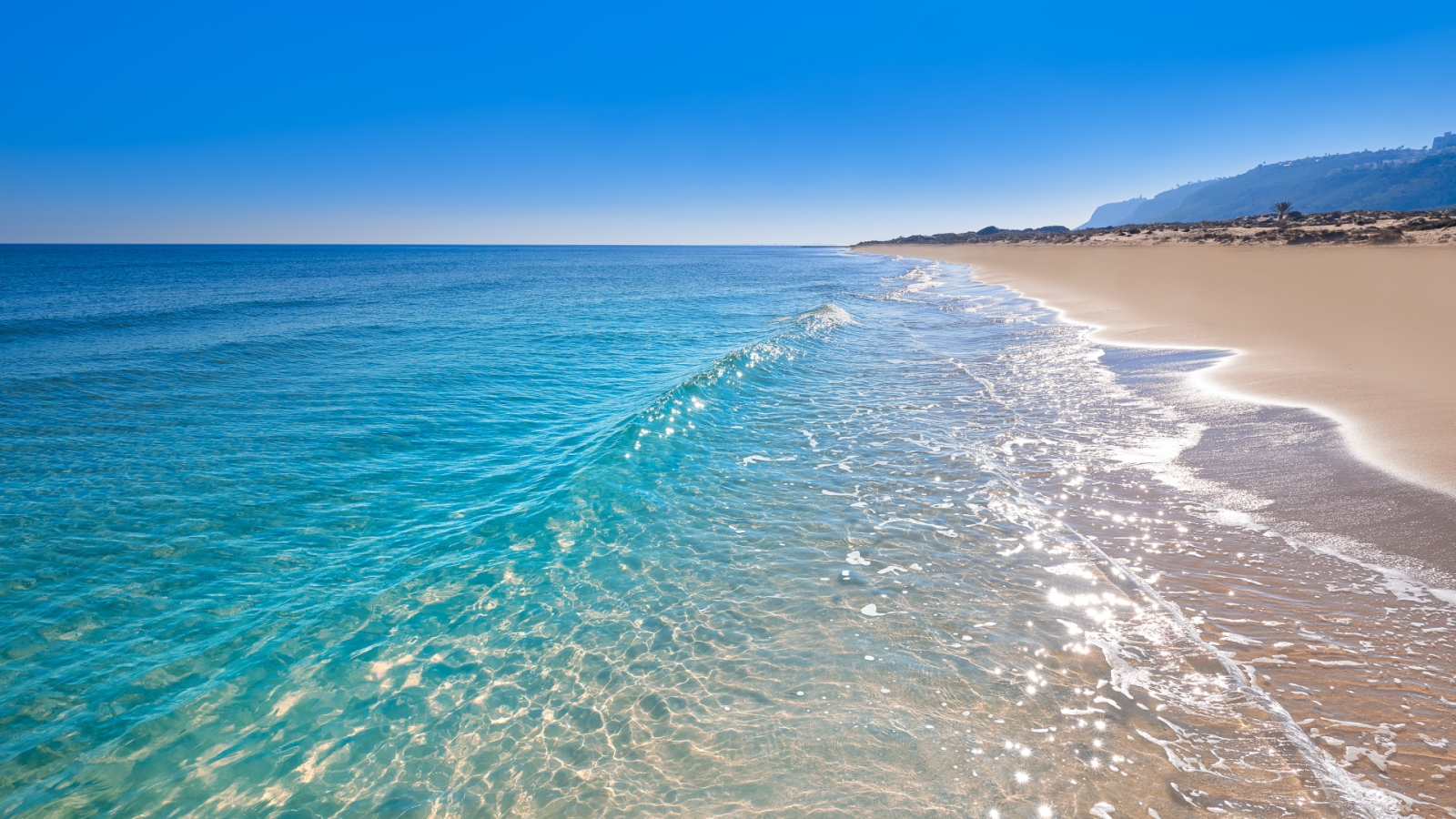 shutterstock 1288989229