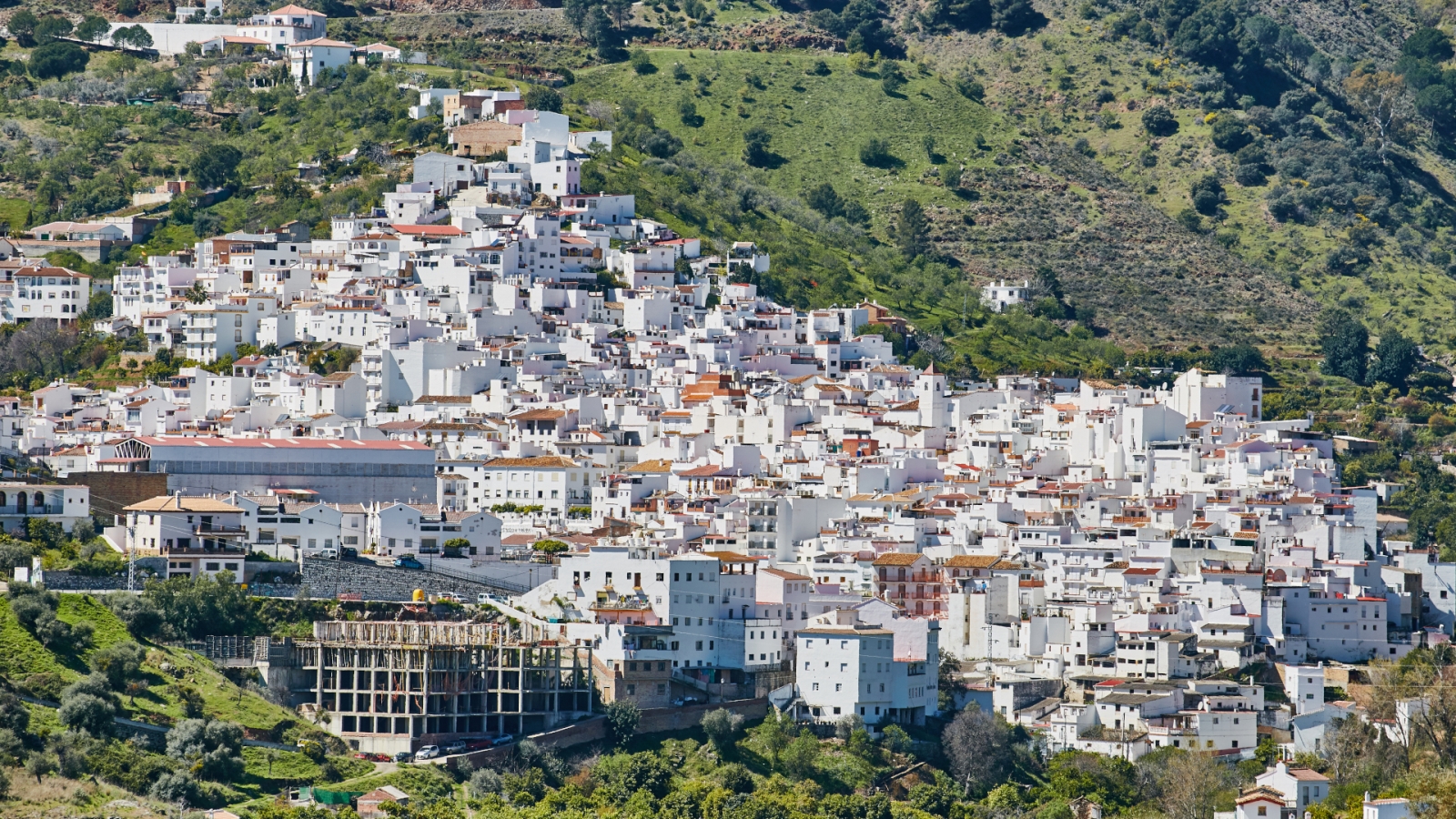 shutterstock 1303031395 - Tolox