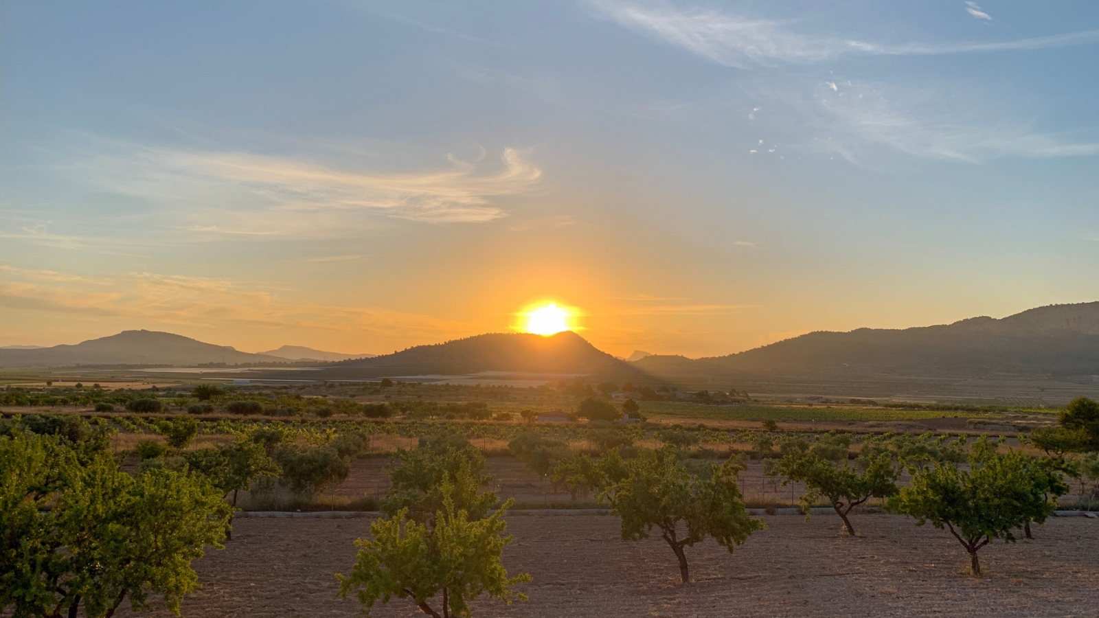 shutterstock 1465554584